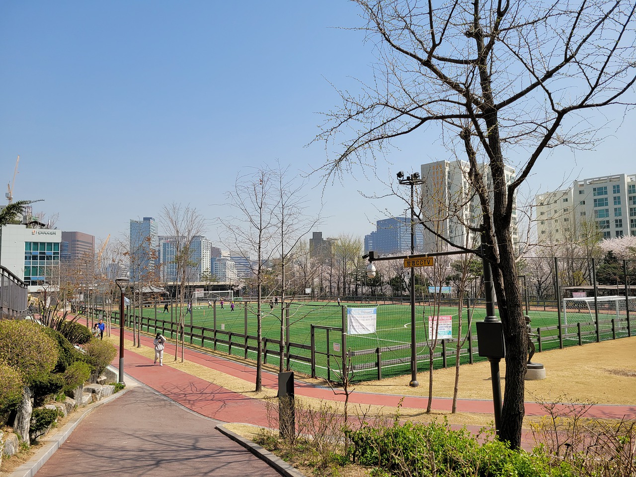 尼克斯的問
