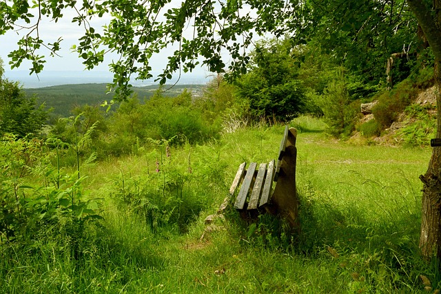 但在面对更 但在面对更