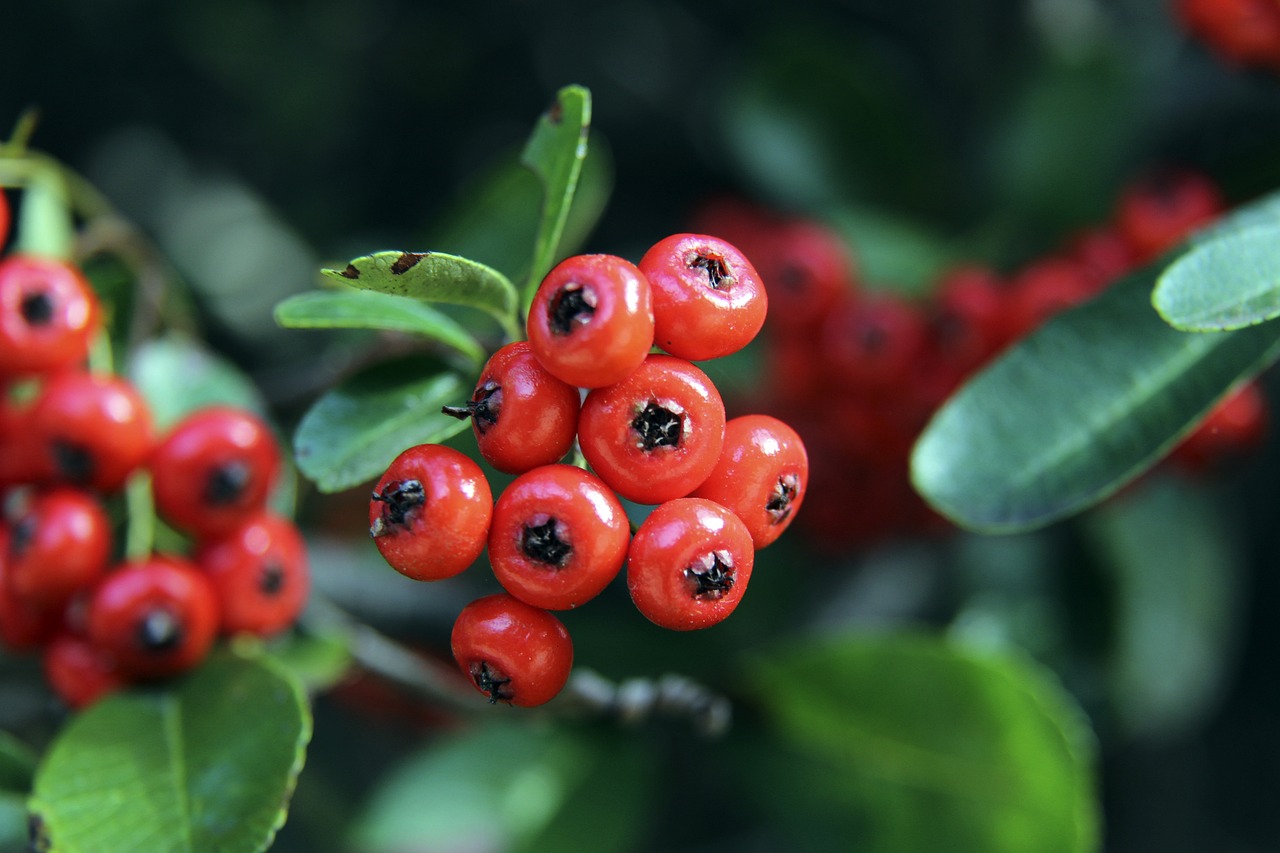 体的桎梏 体的桎梏