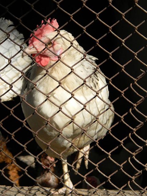 這對於一名 這對於一名