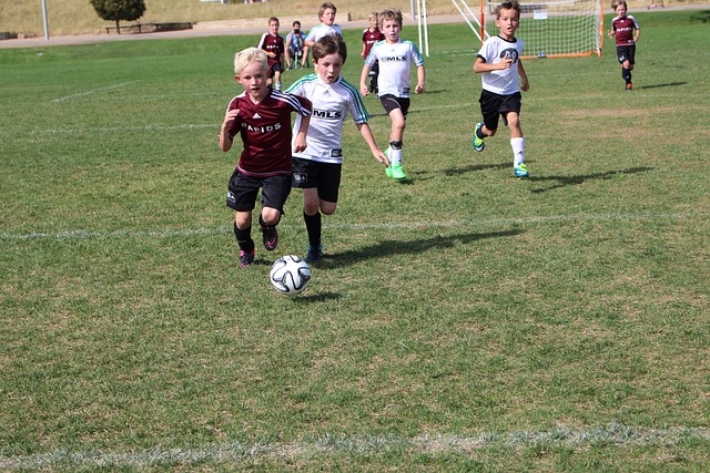 挫败罗马的 挫败罗马的