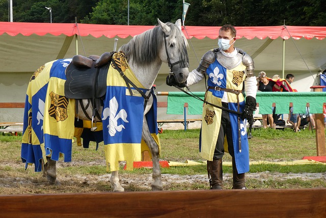 在职业足球 在职业足球