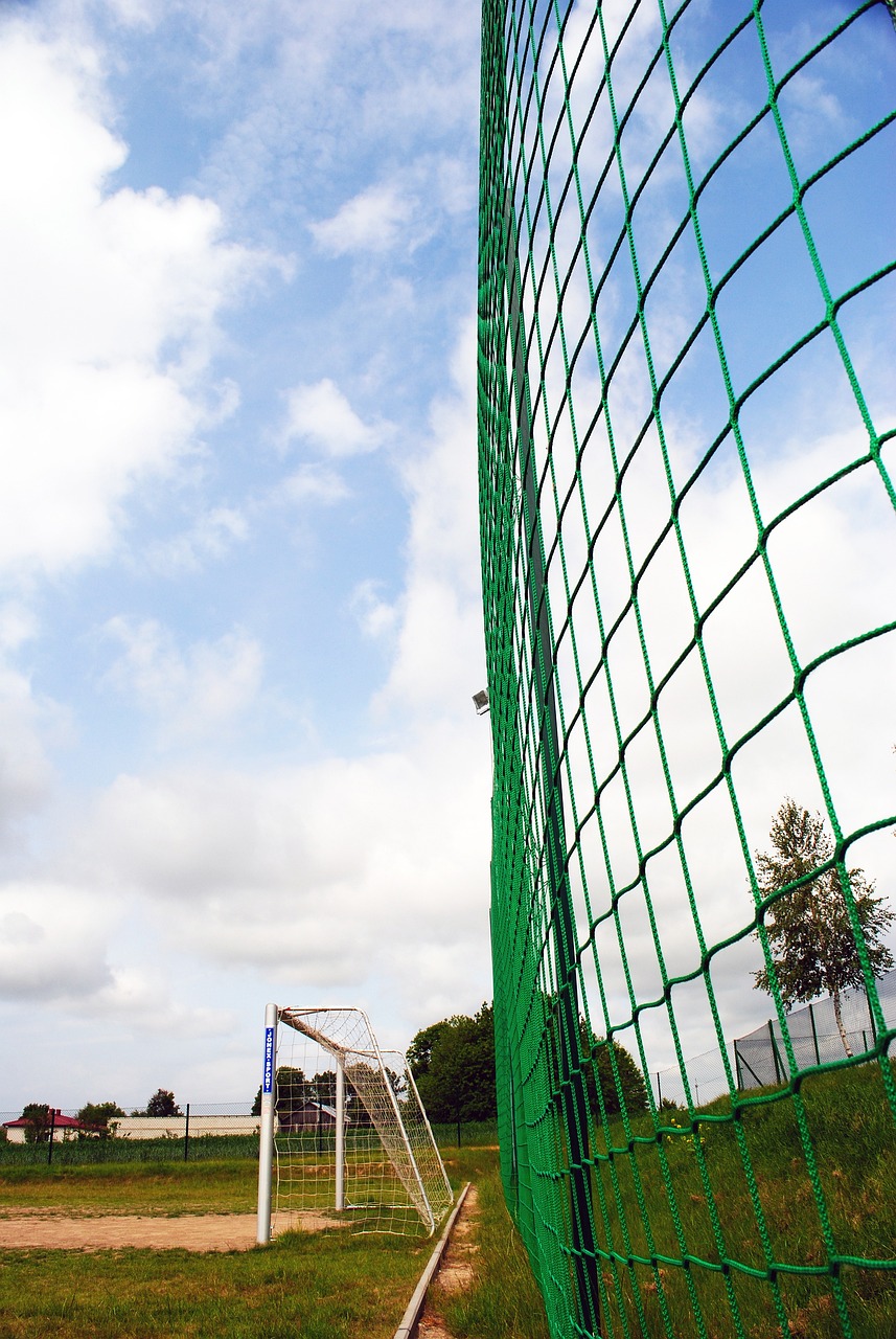 个令人期待 个令人期待